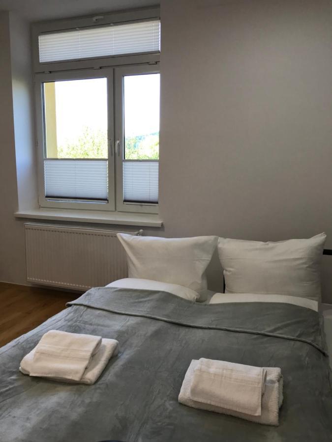 Cristal Apartament Krynica - Zdroj Εξωτερικό φωτογραφία
