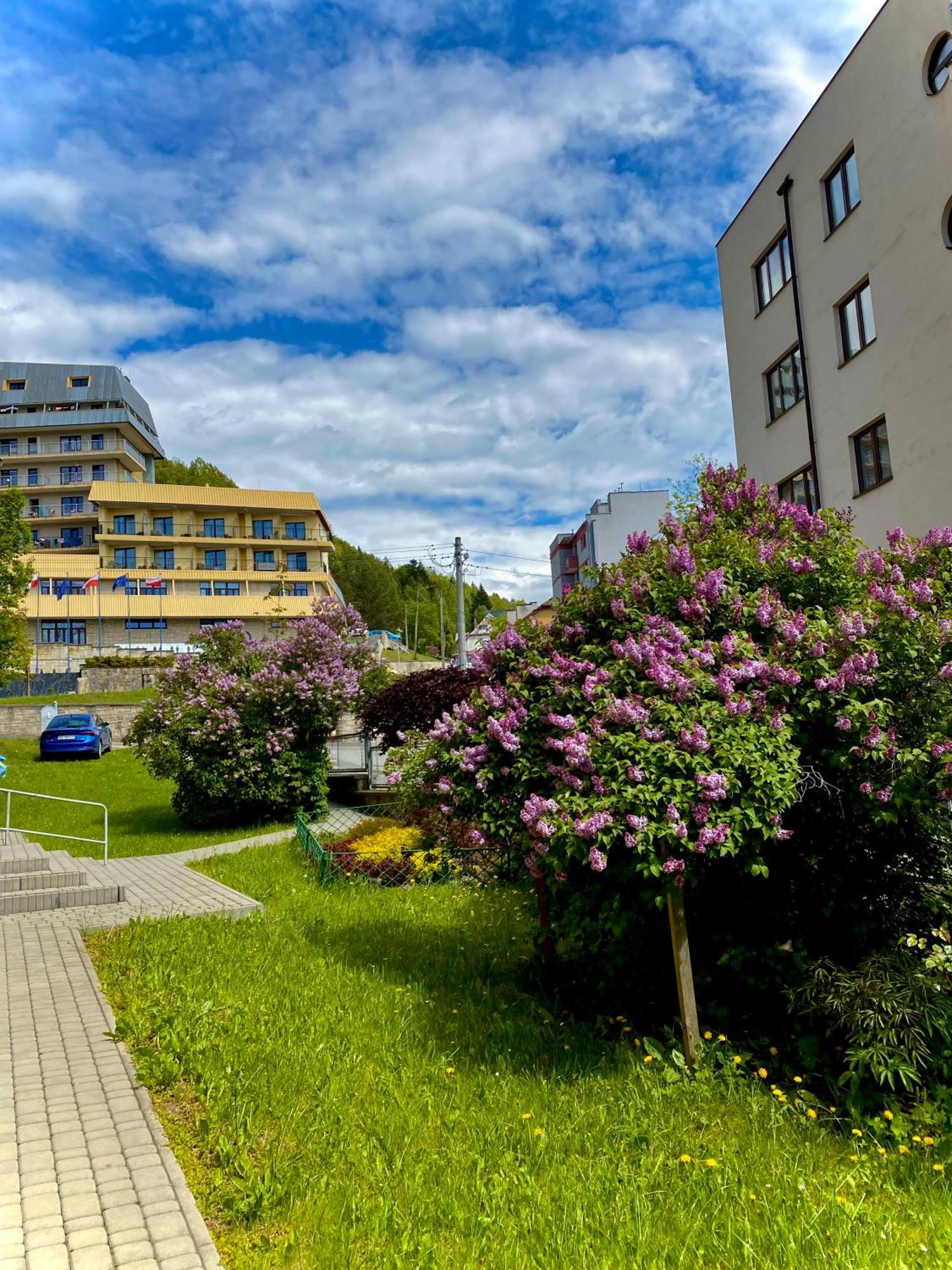Cristal Apartament Krynica - Zdroj Εξωτερικό φωτογραφία